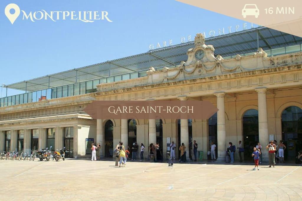 041 - Studio Le Chateau D'O, Appart 4Pers, Parking, Proche Faculte De Medecine モンペリエ エクステリア 写真