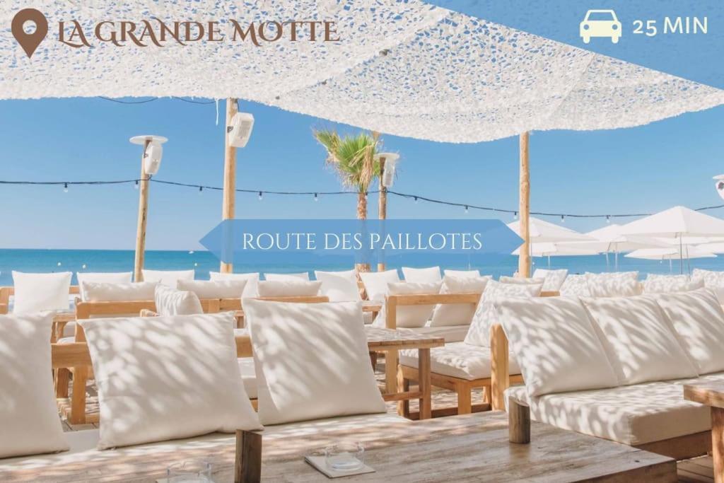 041 - Studio Le Chateau D'O, Appart 4Pers, Parking, Proche Faculte De Medecine モンペリエ エクステリア 写真