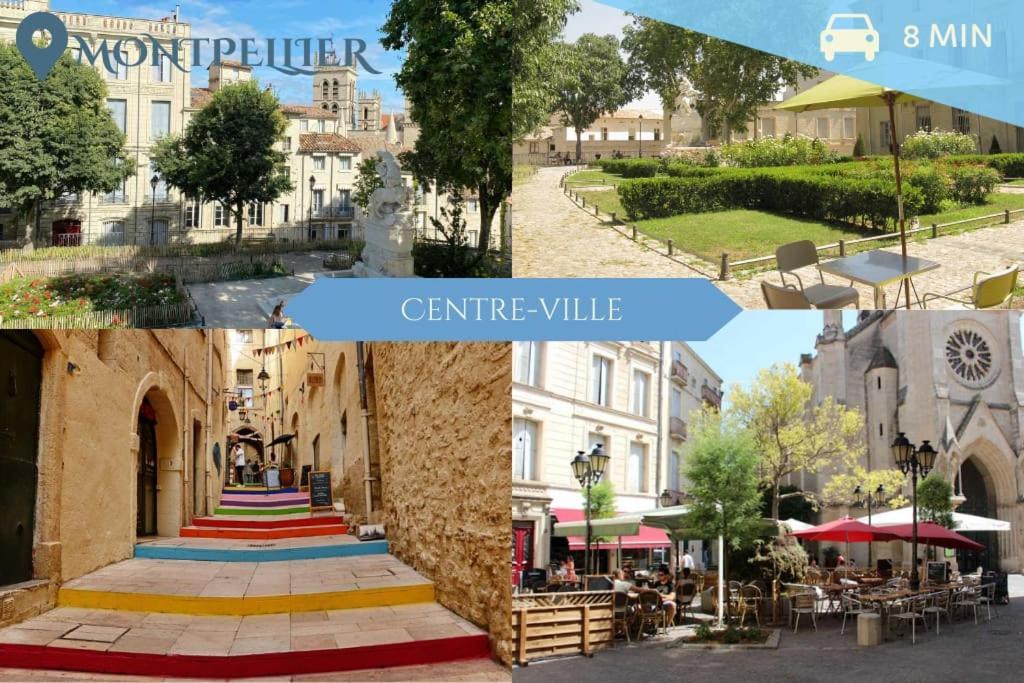 041 - Studio Le Chateau D'O, Appart 4Pers, Parking, Proche Faculte De Medecine モンペリエ エクステリア 写真